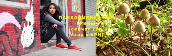 ГАЛЛЮЦИНОГЕННЫЕ ГРИБЫ Балабаново