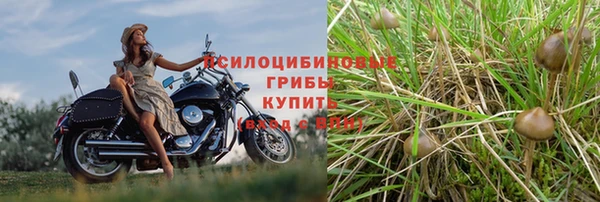 дживик Баксан