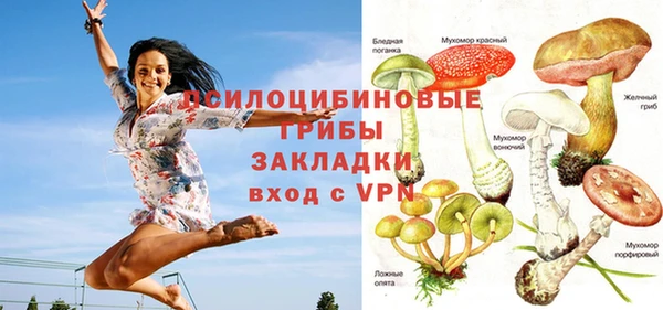мескалин Балахна